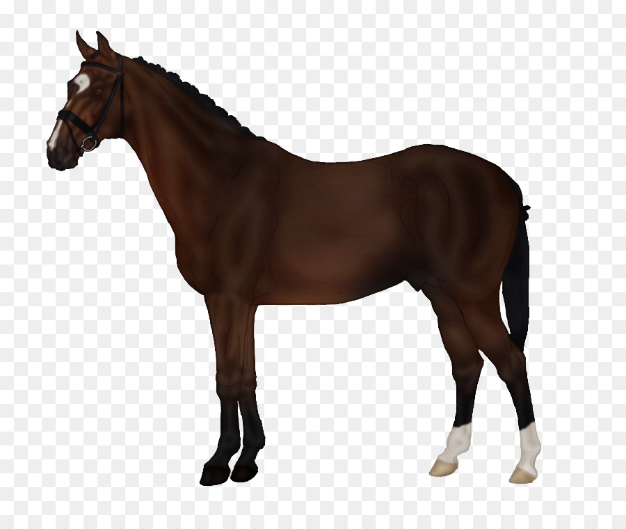Die Sims 3: Pets Pferd Markierungen Sattel Horse Tack - Pferd