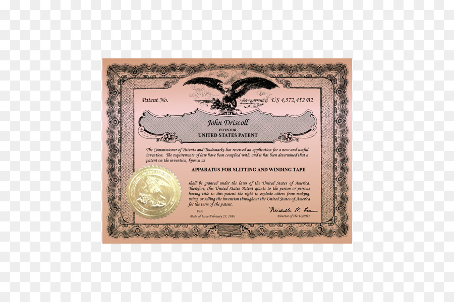 Rùa Bọt Biển, Khung Ảnh Tắm - bằng giấy chứng nhận