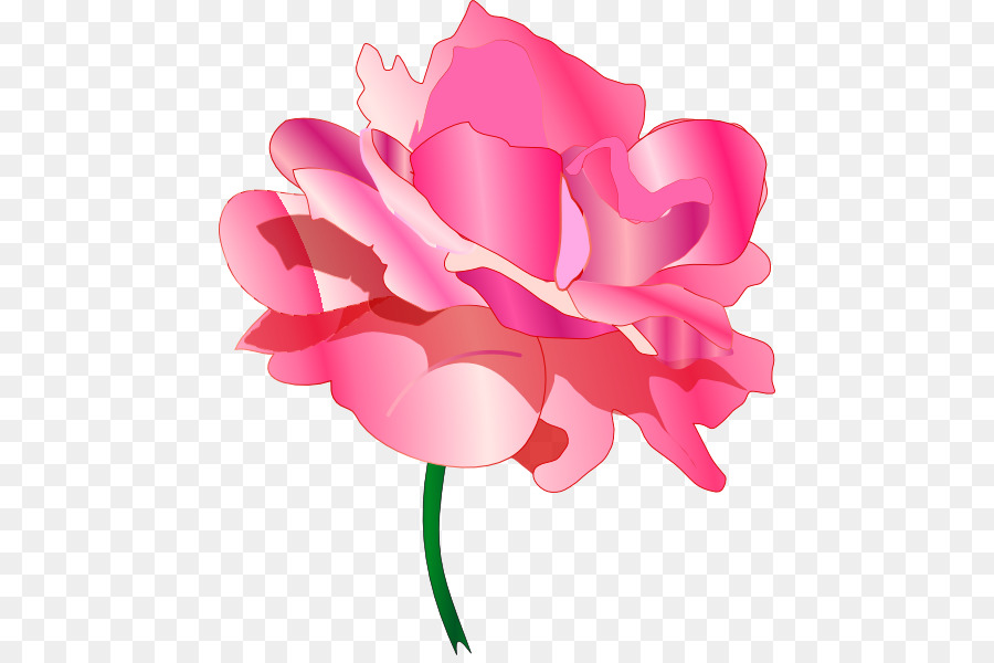 Hoa hồng trong vườn bắp Cải rose Cắt hoa Clip nghệ thuật - hoa