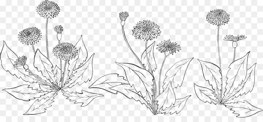 Hoa thiết kế Cắt hoa gốc Thực vật - bồ công anh vẽ