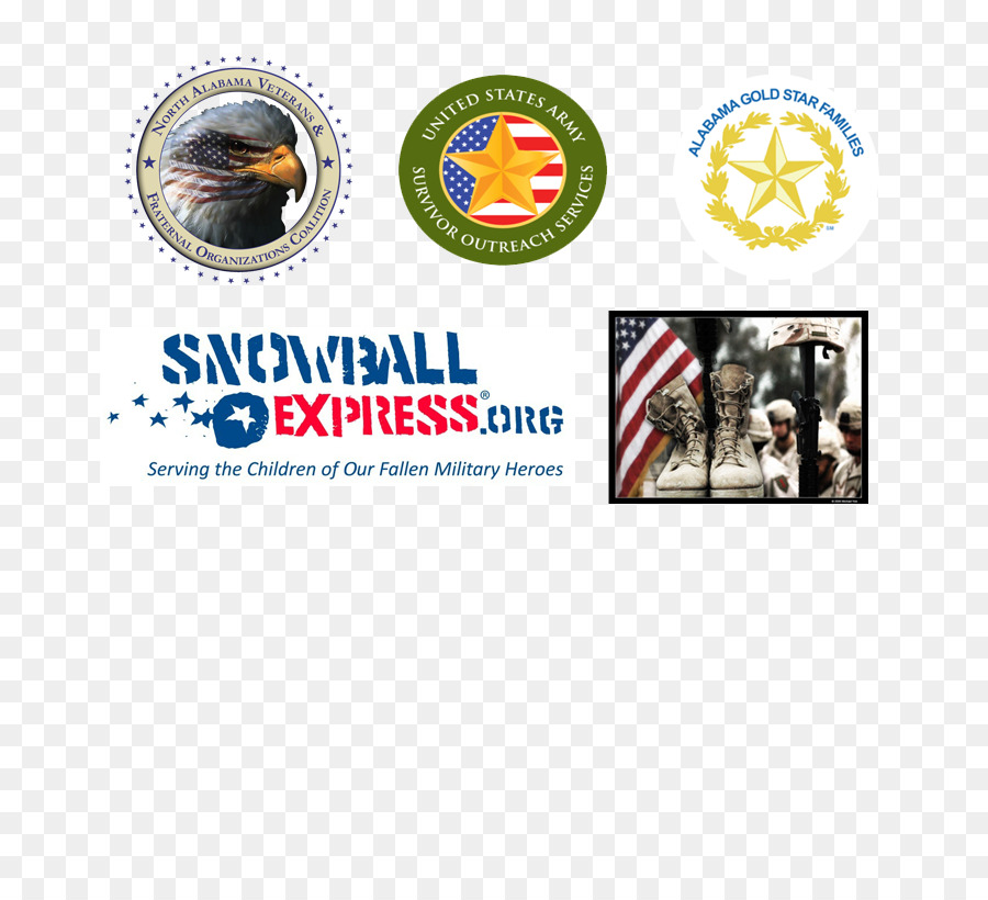 Logo Marke Schneeball Express Inc Font - Rennflieger