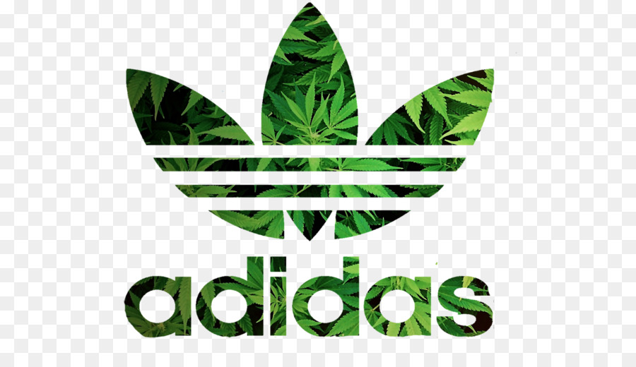 T-shirt Adidas Stan Smith Adidas Originals, Adidas Superstar - Maglietta