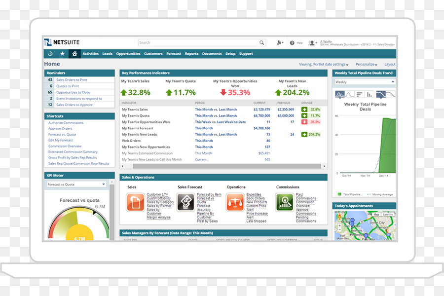 NetSuite Enterprise resource planning Business Computer Software Management - geschäft