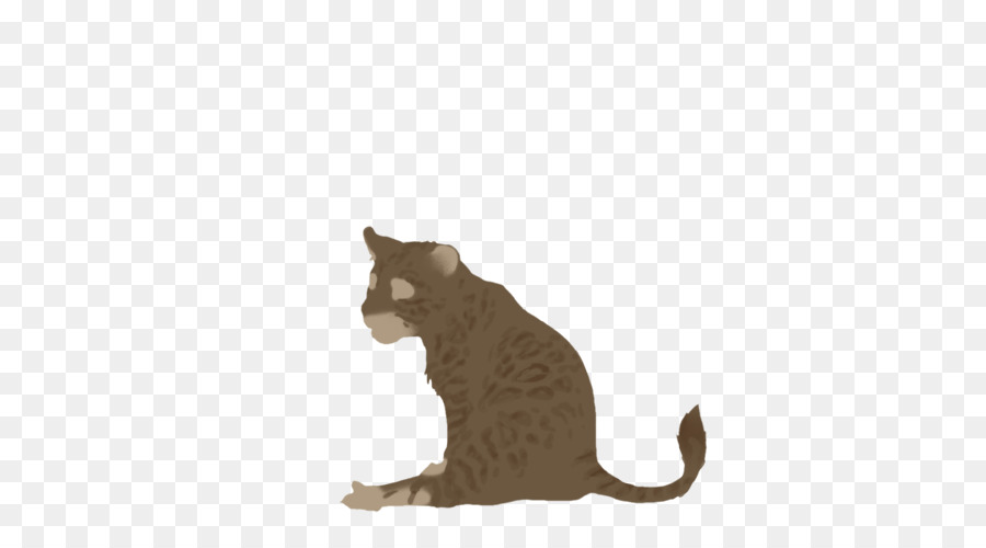 Baffi Gattino Domestico gatto pelo corto Fauna - gattino