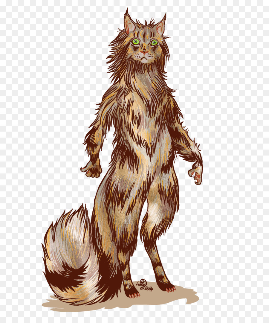 Maine Gấu Râu Raccoon Bengal mèo Con mèo hoang - maine nhọ
