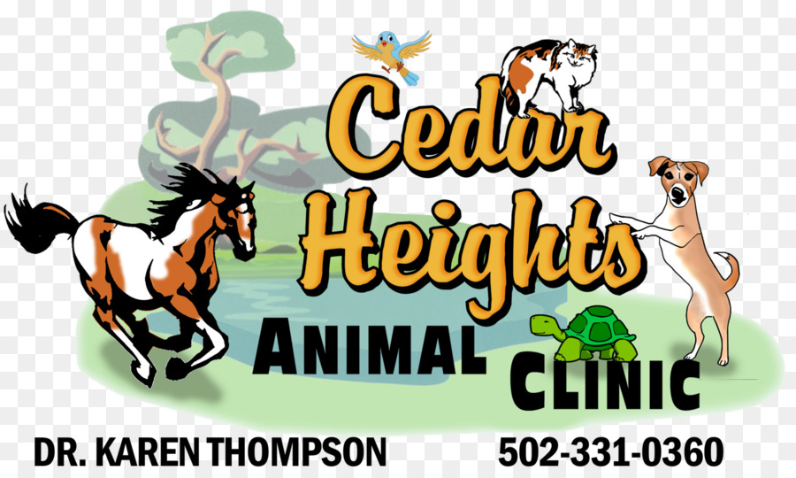 Cavallo Bardstown Cedar Heights Animal Clinic Di Escursioni Punto, Louisville Coxs Creek, Kentucky - cavallo