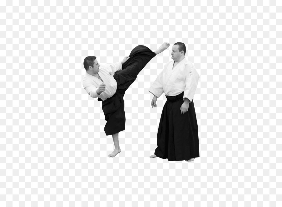 Aikido Joint