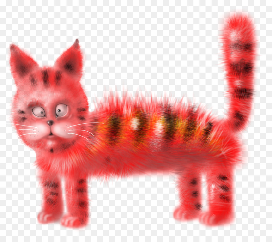 Die schnurrhaare von Kätzchen Tabby Katze Schnauze - Kätzchen
