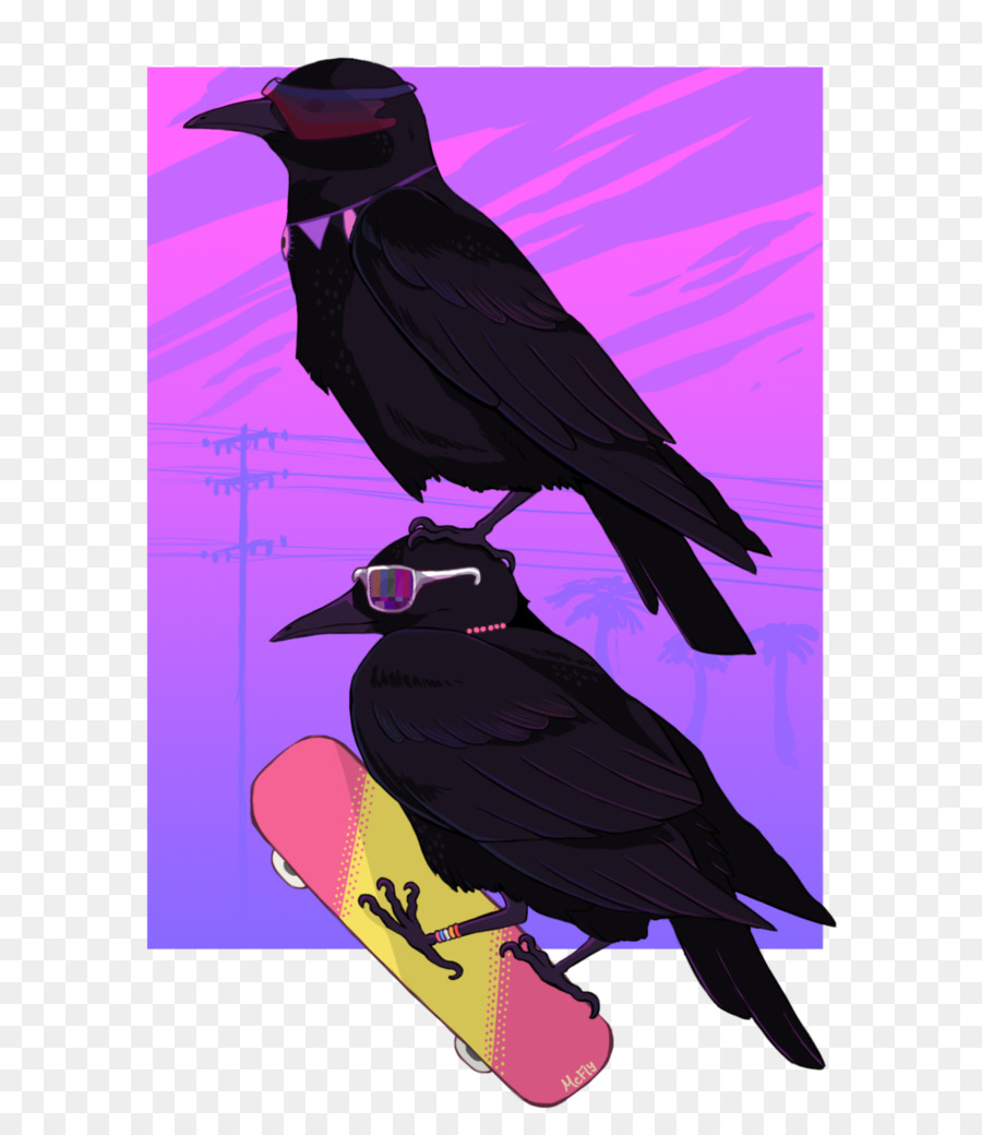 Corvo imperiale Cornacchia Becco - corvo