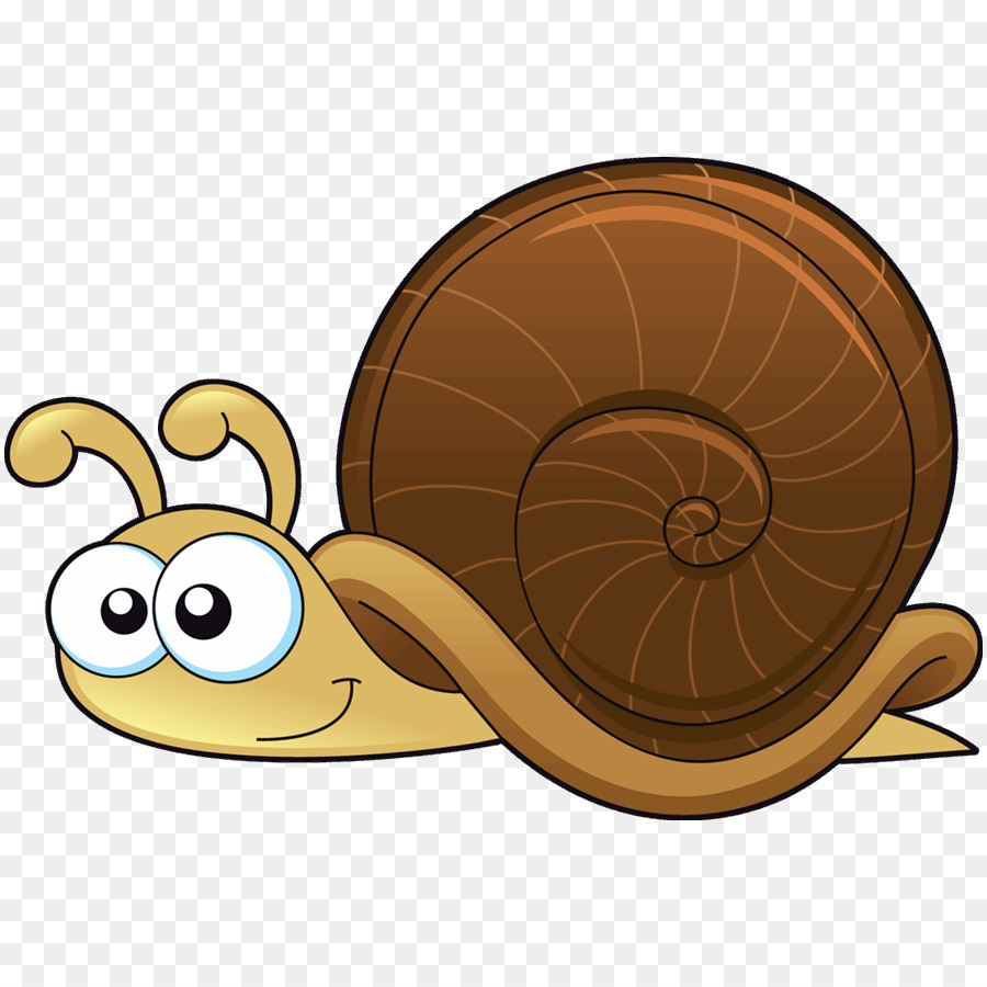 Dạy bé học nói tên động vật Con ốc sên Hình ảnh và hoạt động sống của ốc sên Bé thần đồng YouTube
