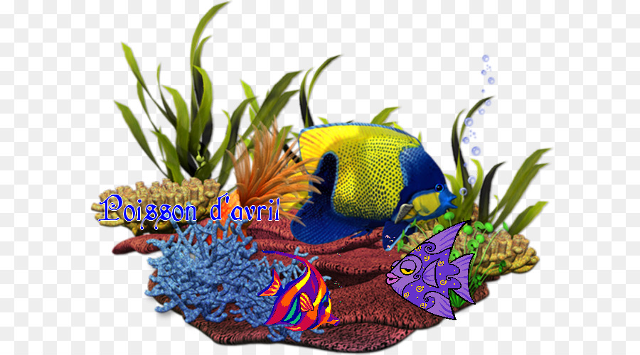 Coral Reef Background