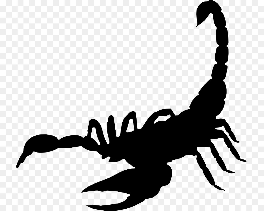 Scorpion Clip nghệ thuật - bọ cạp