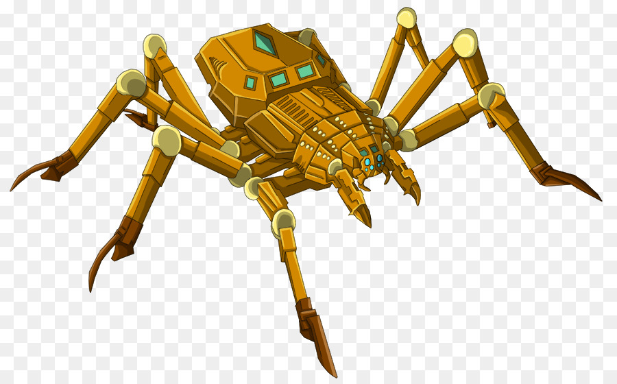 Spider Côn Trùng Giáp Xác Mười Chân Máy Loài Nhện - con nhện