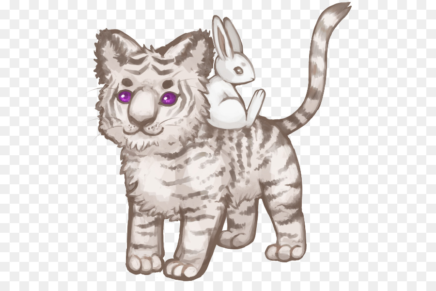 Die schnurrhaare von Kätzchen Tabby-Katze Doodle - Kätzchen
