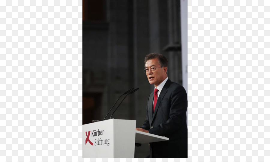 Blue House North Korea Panmunjom Erklärung des Präsidenten von Süd Korea Inter koreanisches Gipfeltreffen - Xi Jinping