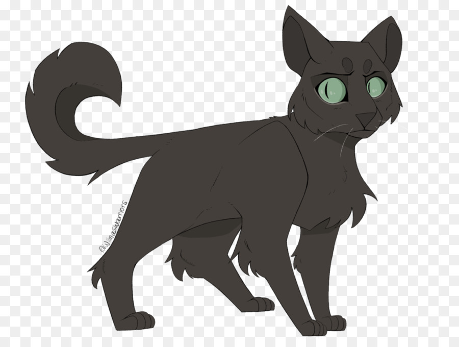 Black cat-Kitten-Korat Inländische kurzhaarige Katze Schnurrhaare - Kätzchen