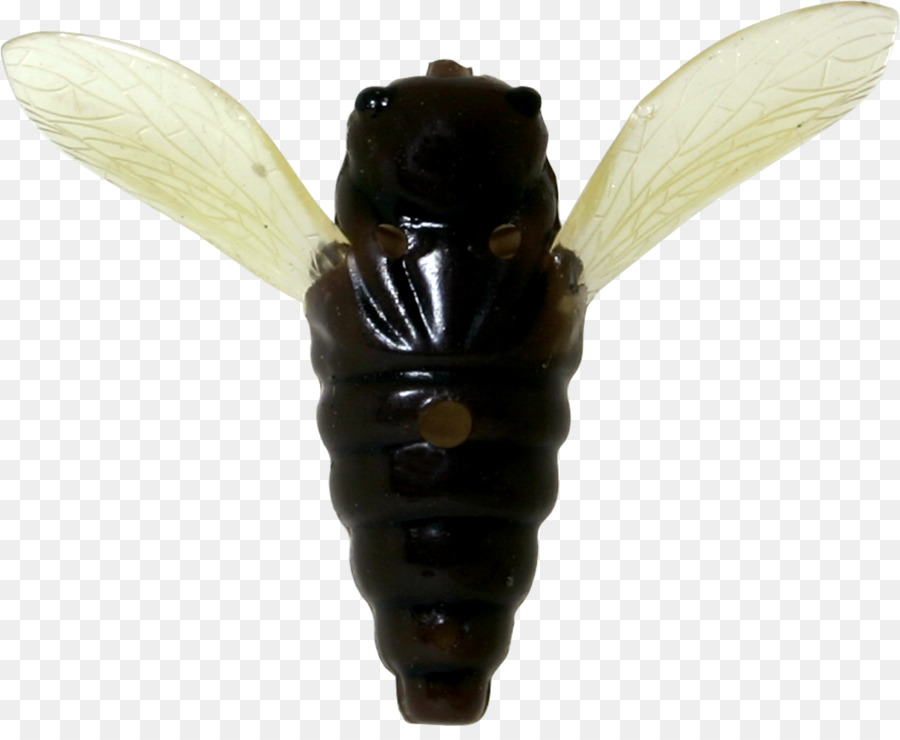 Bee Hornet - con ong