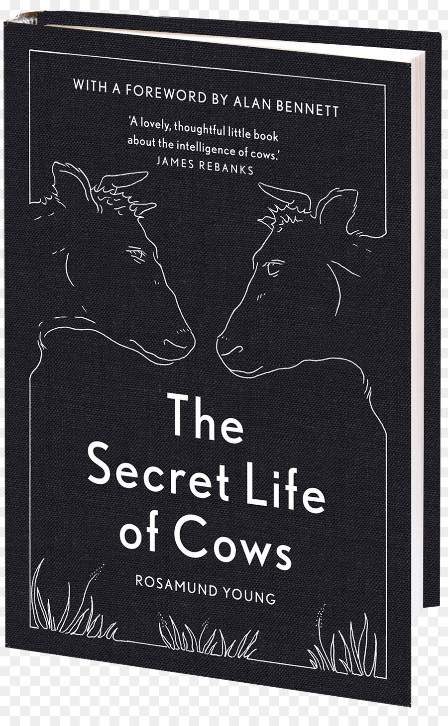 Das Geheime Leben der Kühe Rinder Buch Amazon.com Bauer - Buchen