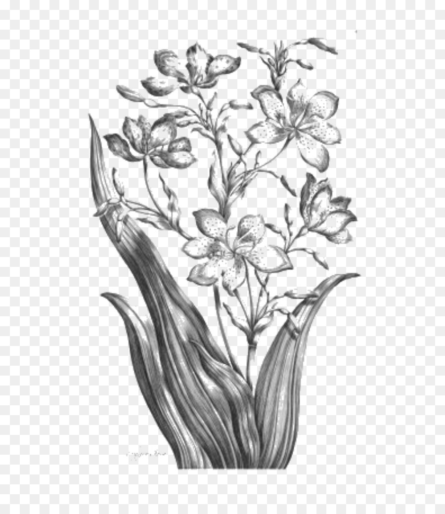 Zweig, Floral design Blatt Skizze - look alike Tag