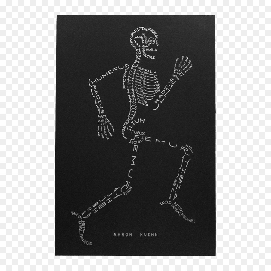 Il Sistema Scheletrico Umano scheletro corpo Umano Anatomia - scheletro di stampa