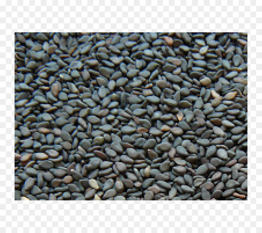 Sesame Nuts Seeds
