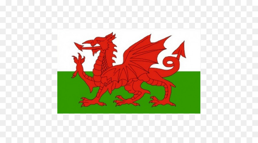 Flagge Wales Welsh Drache nationalflagge - walisische Flagge