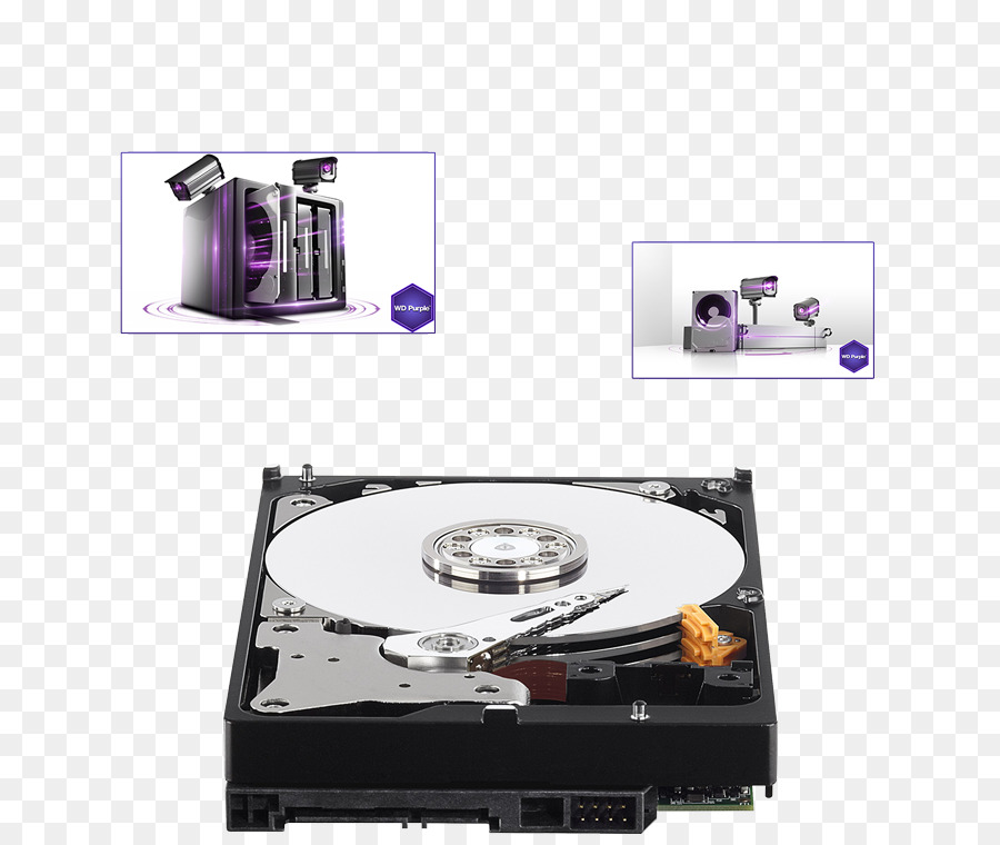 Serial ATA Hard Disk WD Purple SATA HDD Western Digital Terabyte - altri