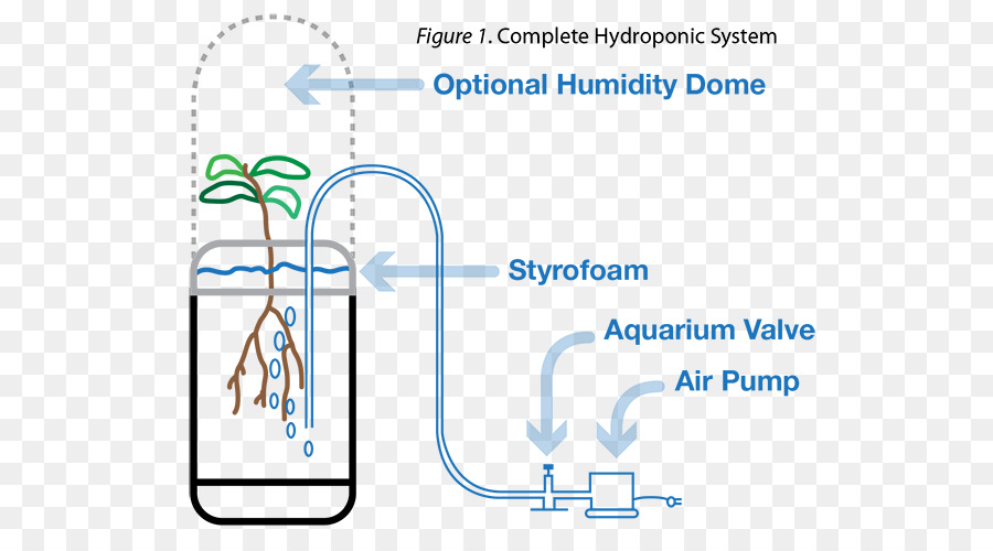 Line Technologie Winkel - aquarium Hydrokultur