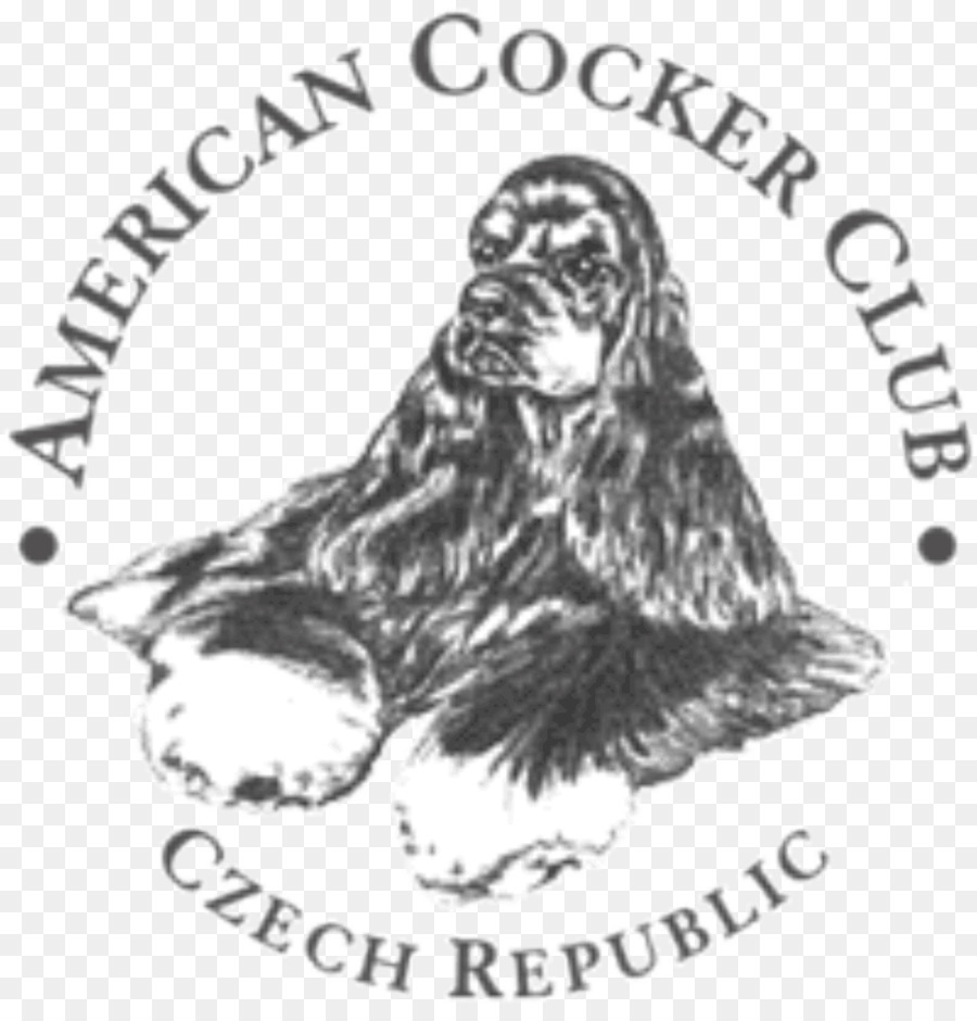 Cocker Spaniel inglese Stati Uniti CAJC Repubblica ceca Black & Gold - stati uniti