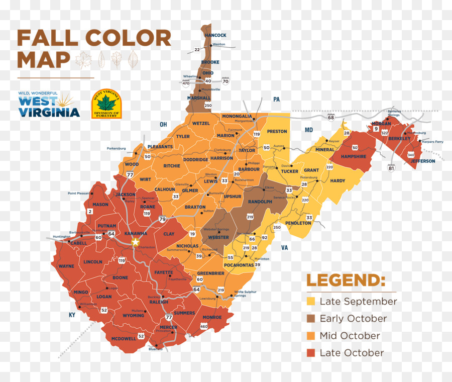 West Virginia foglia d'Autunno di colore - autunno