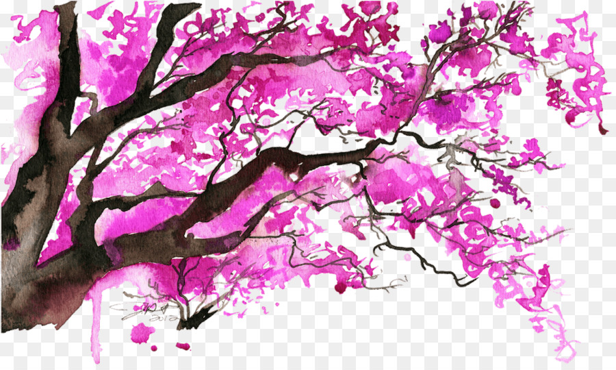 Bức tranh màu nước hoa anh Đào Cây - hoa anh đào