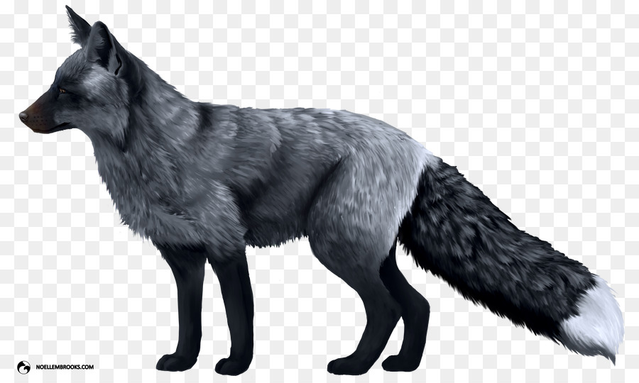 Domestizierte red fox Silber Fuchs Polarfuchs Hund - Arctic Fox
