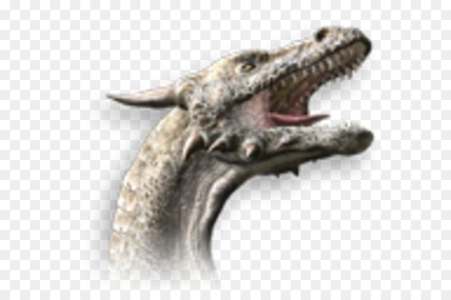 Icone Del Computer Dragon Fantasy - drago