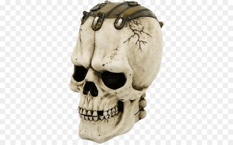 Skull Frankenstein mostro Human skeleton Figurine - cranio del mostro