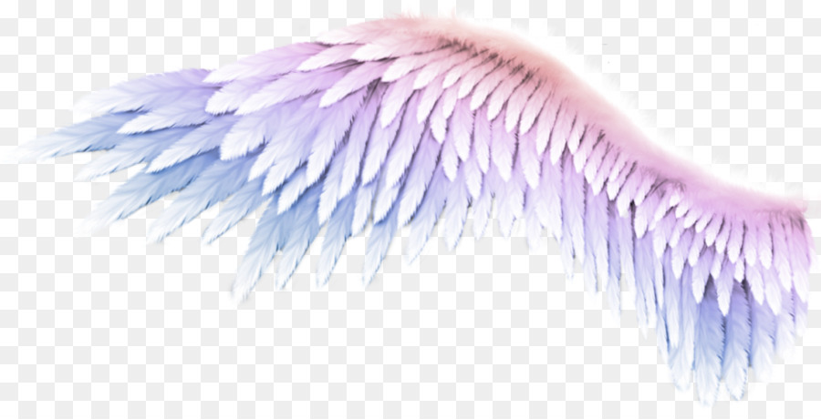 Wing Purple