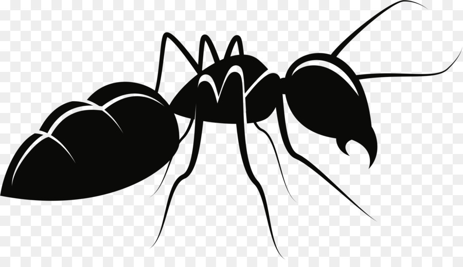 Ant Mosquito Insekt clipart - Mücke