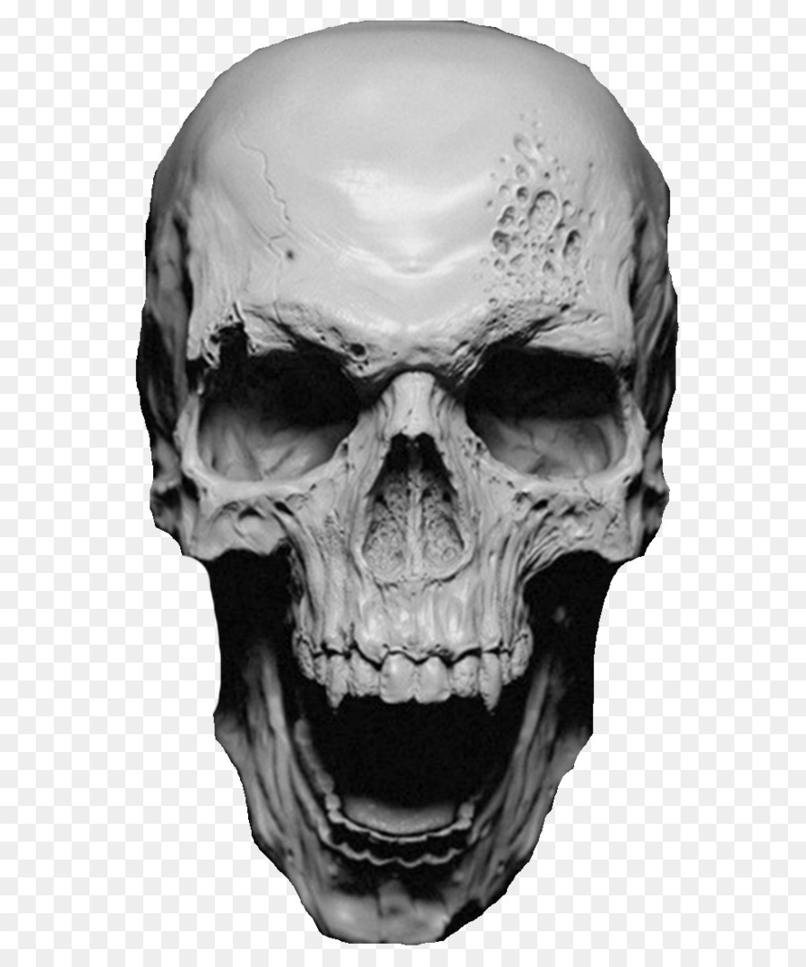 T-shirt Skull Skelett Kleidung - drei Schädel