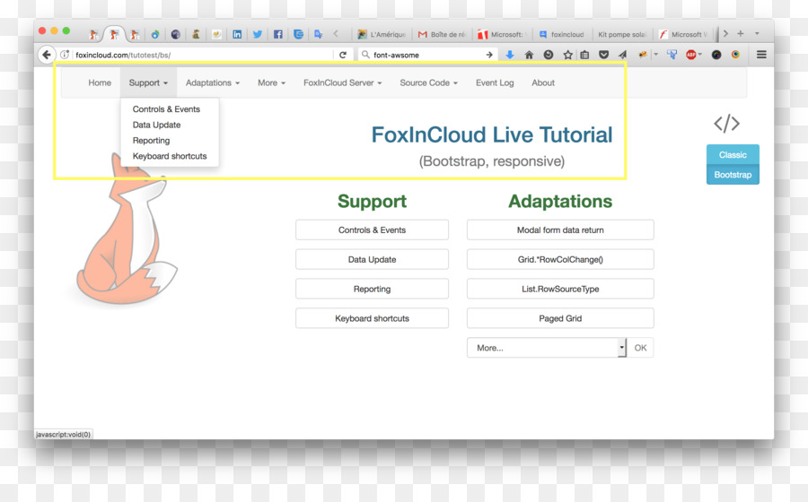 Pagina Web di Visual FoxPro - Design