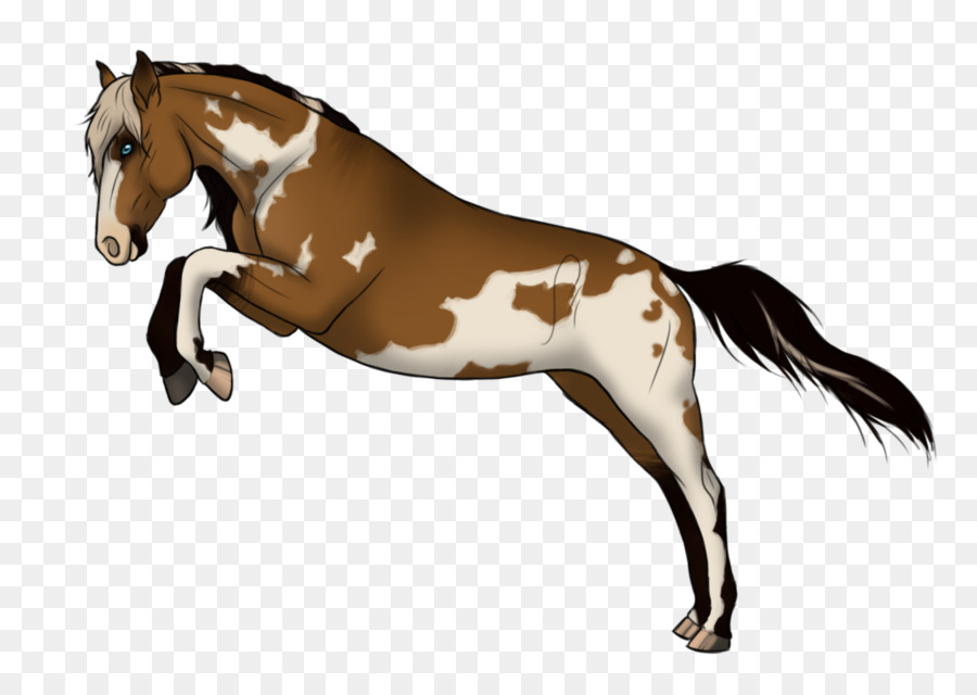 Mustang Ngựa Con Ngựa Colt Mare - trân châu cảng