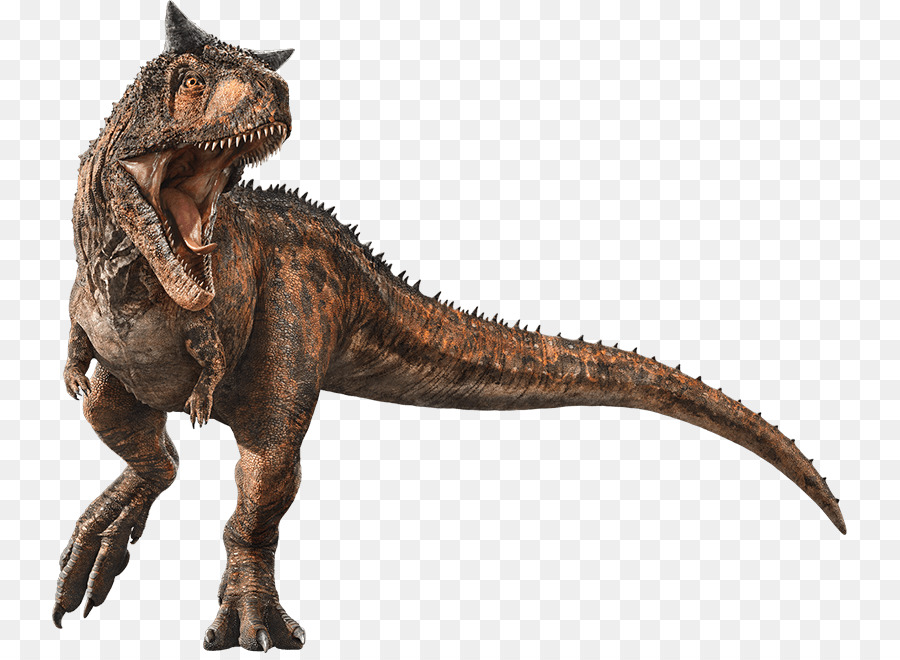 Velociraptor Tyrannosaurus Carnotaurus Mondo Giurassico Evoluzione Stygimoloch - Jurassic Park