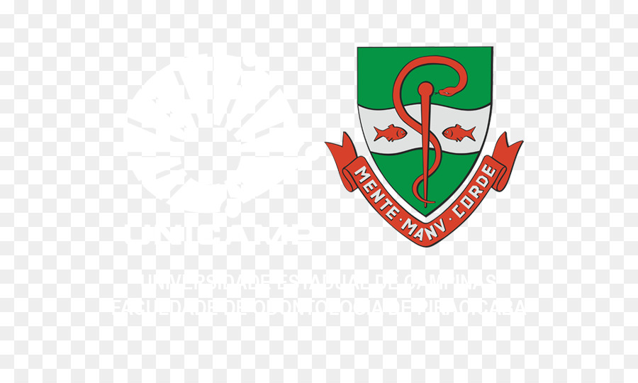 Schule der Zahnmedizin von Piracicaba   Universität Unicamp Campinas Postgraduiertenausbildung Zahnmedizin - dti logo
