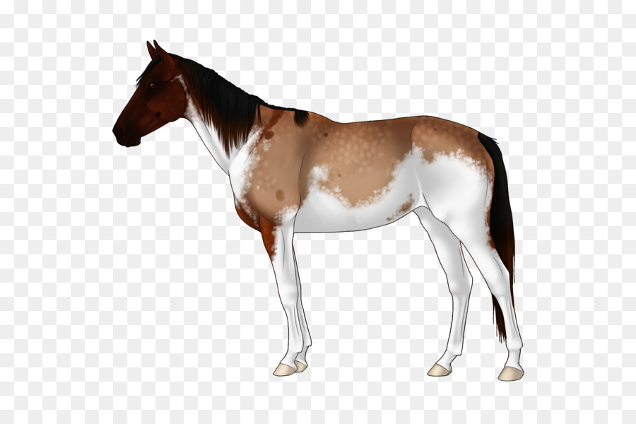Con Ngựa Mustang Con Ngựa Colt - mustang