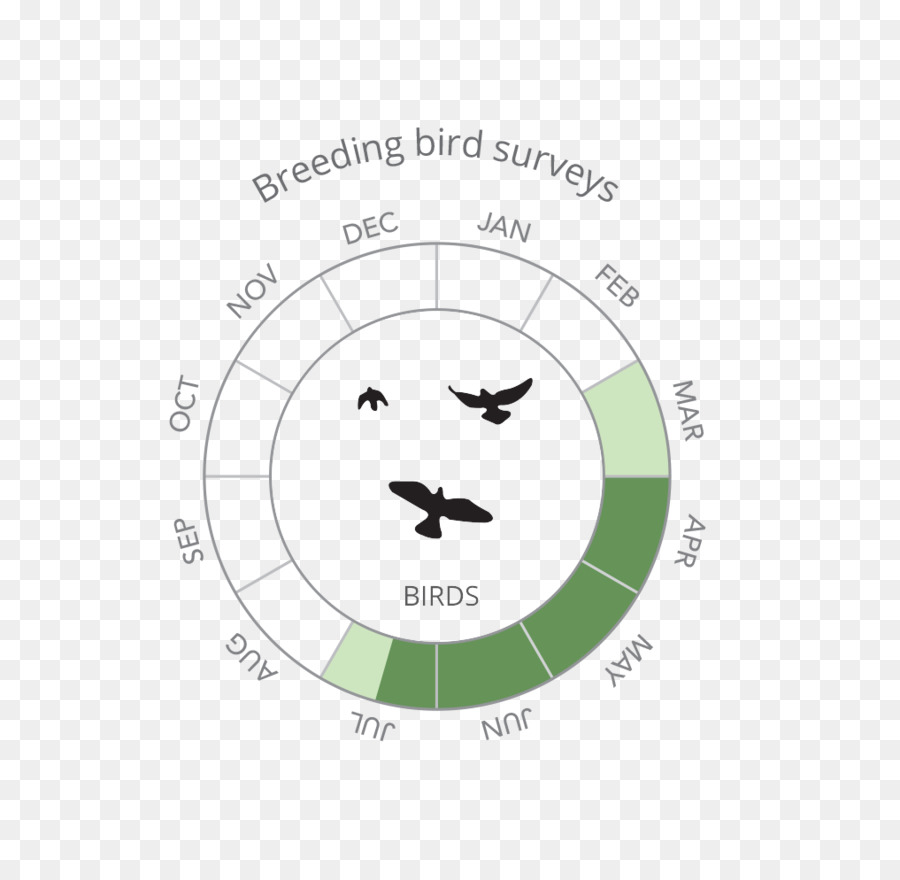 Logo Breeding bird survey Vertrag Ökologie - Vogel