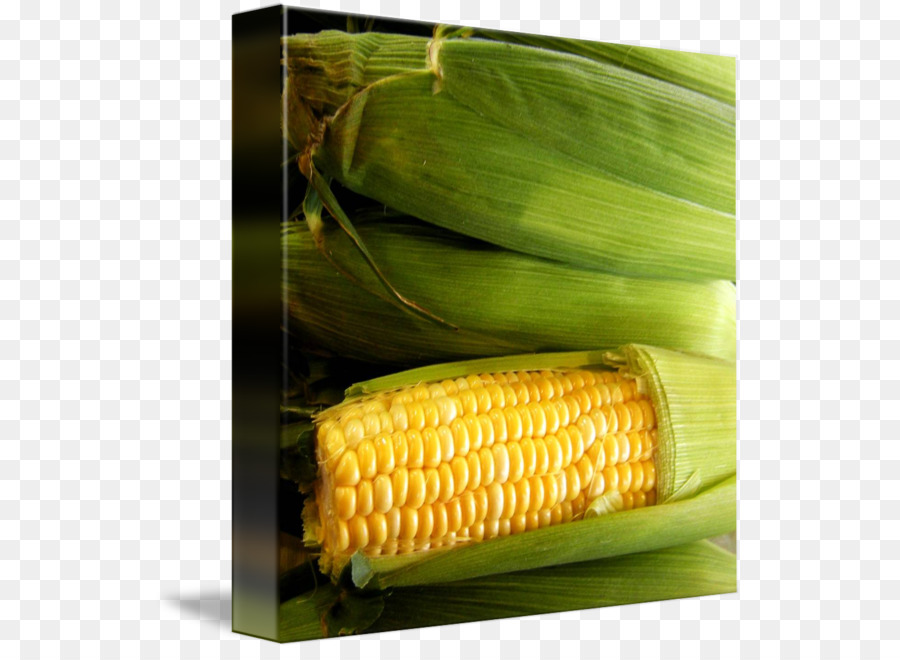 Maiskolben mais Mais Natürliches Lebensmittel - mais Zeichnung