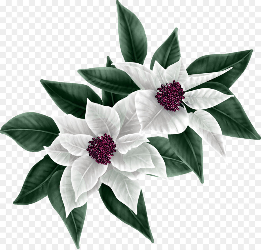 Schnittblumen, Blühende pflanze, Common lilac - express Zug kiss