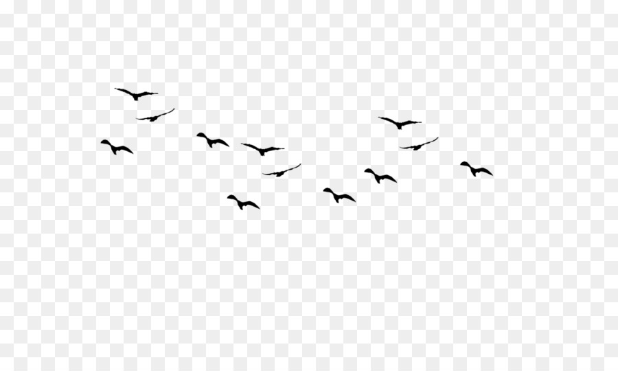 Uccello di volo di Rondine Silhouette a volo d'Uccello - uccello