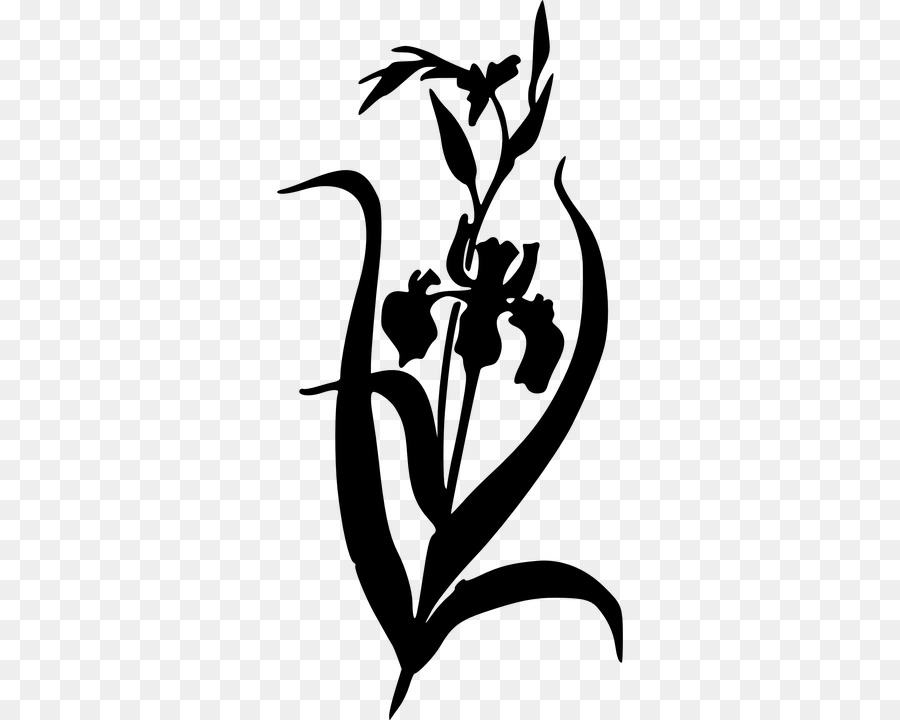 Iris Clip art - Kostenlose Blumen-silhouette