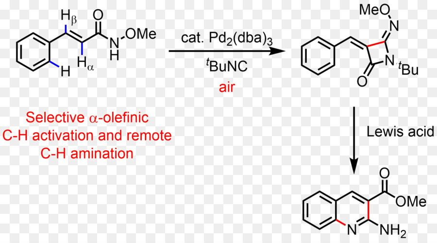 Benzimidazolo Carbonio–idrogeno attivazione del legame di chimica Organica reazione Chimica - altri