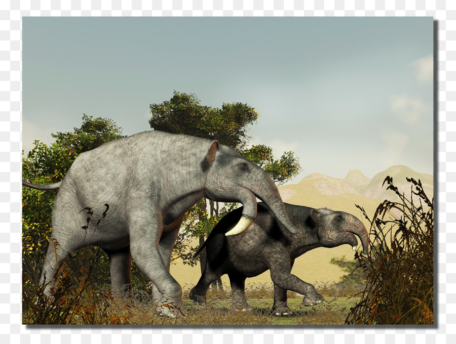 Elefante indiano Neogene Archeano Proterozoico elefante Africano - altri