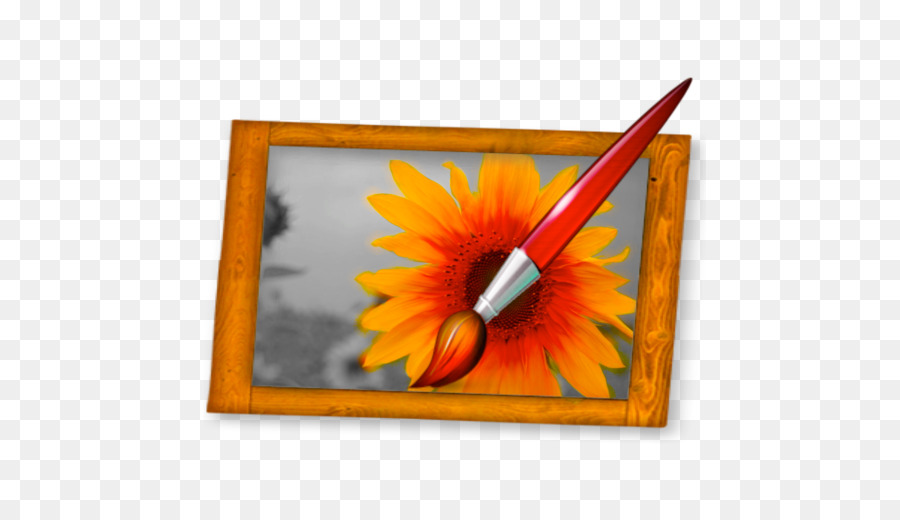 Flower Background Frame